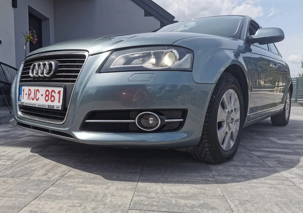 Audi A3 cena 30500 przebieg: 194000, rok produkcji 2010 z Dębica małe 596